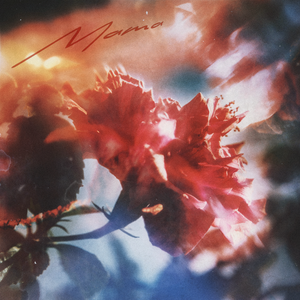 欧美老熟妇乱大交XXXXⅩ
