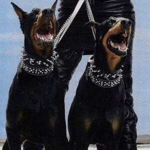 欧美老熟妇乱大交XXXXⅩ
